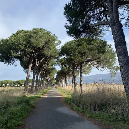La Perla Di Luni Mare Casa Vacanze 아파트 Fiumaretta di Ameglia